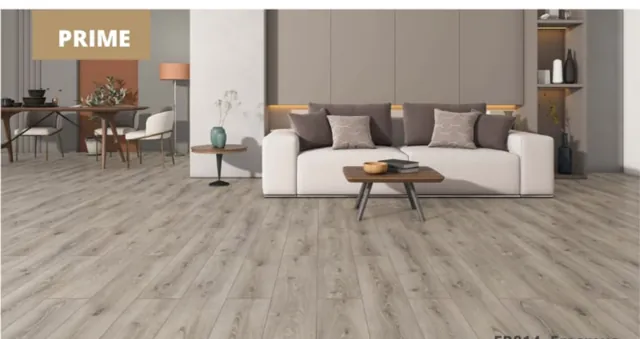 Floorpan FR014 Erasmus — صورة كتالوج