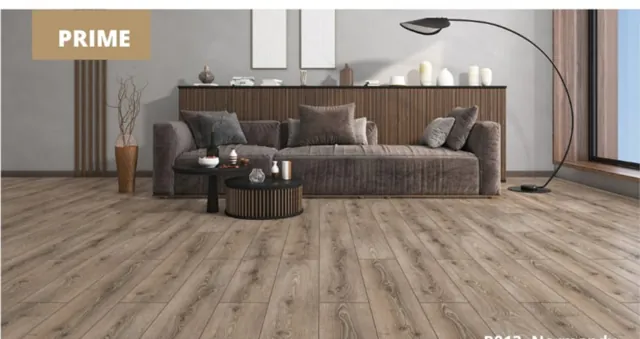 Floorpan R013 Normandy — صورة كتالوج